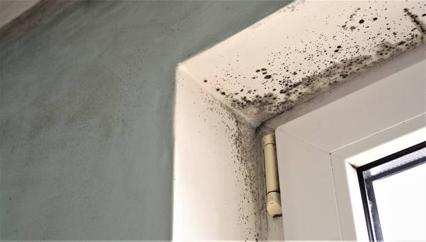 Best Indoor Air Quality Assessment  in Grant, NE