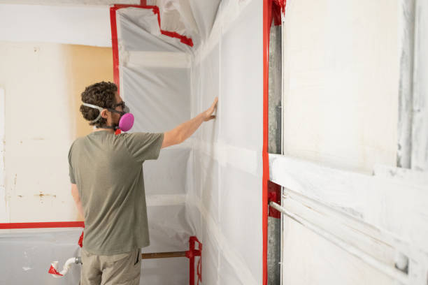 Best Basement Mold Removal  in Grant, NE
